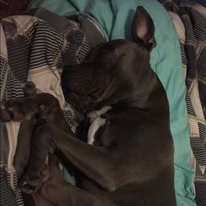 Meet your Posher, Josh